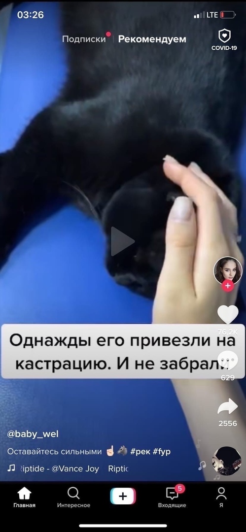 0326 ТЕ Подписки Рекомендуем спим Однажды его привезли на кастрацию И не забрал ЬаЬу_ше Оставайтесь сильными рек Мур л ірпсіегапсе оу Яіріік 005 г Ингевесиве Вхппчщие О А я