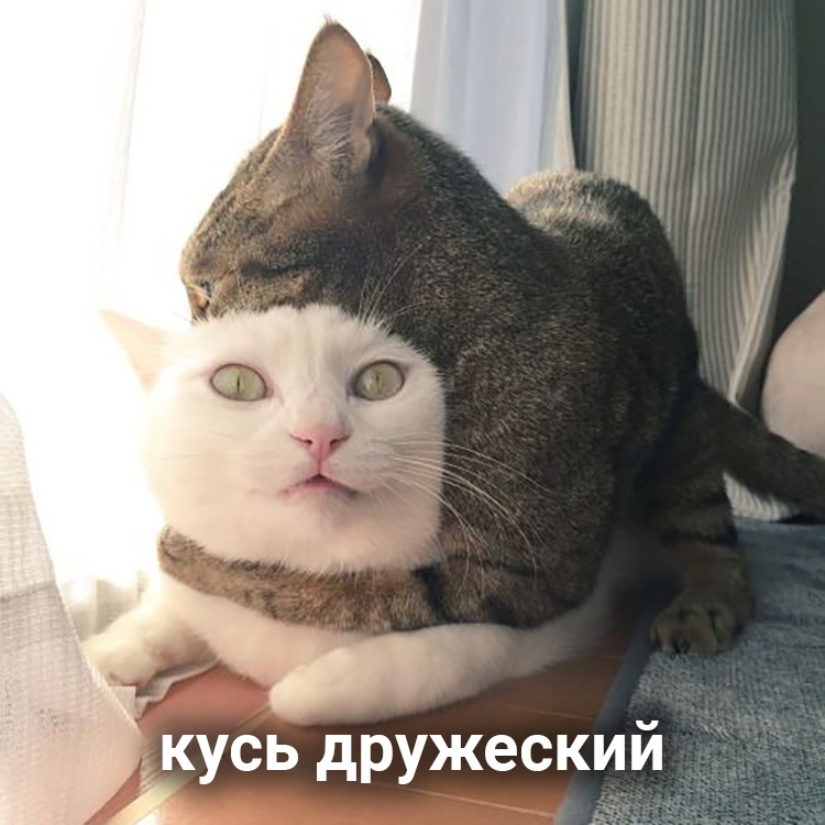 АААААА сь дружесккі г А