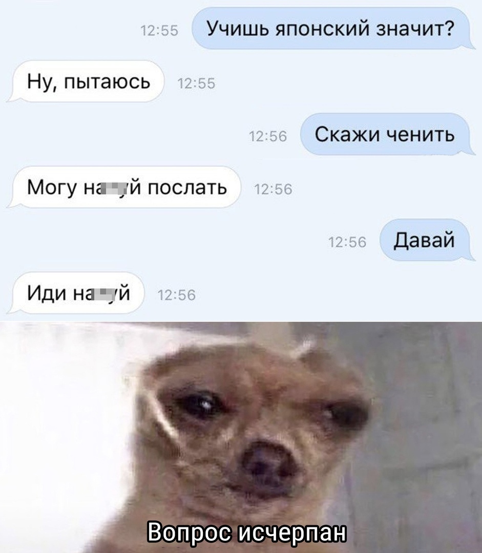 1255 Учишь японский значит Ну пытаюсь 1255 1256 Скажи ченить Могу на й послать 1256 1255 Давай Иди на тй 1255 Вопрос исчерпан
