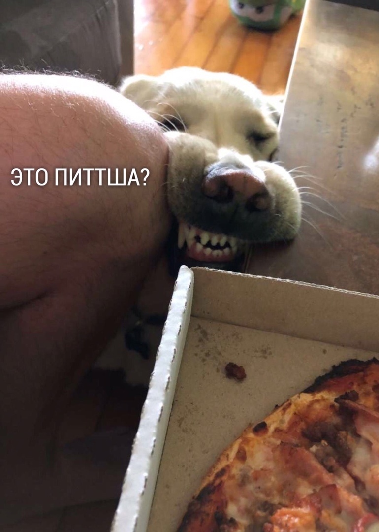 ЭТО ПИТТША