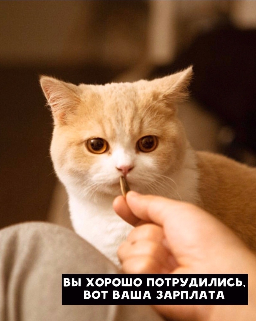 ВЫ ХОРОШО ПОТРУдИЛИСЬ ВОТ ВАША ЗАРПЛАТА