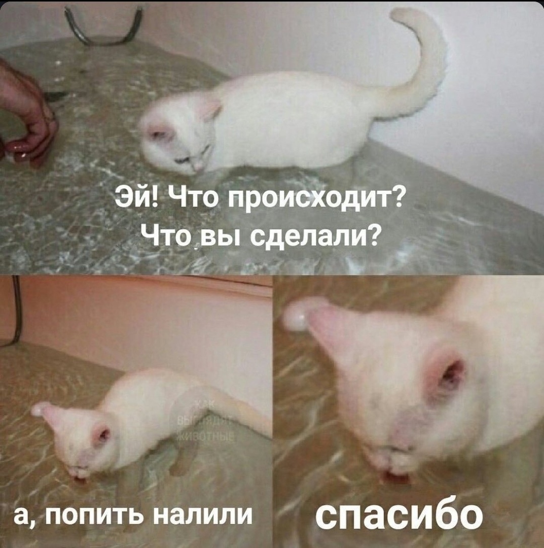 И апопить налили спасибо