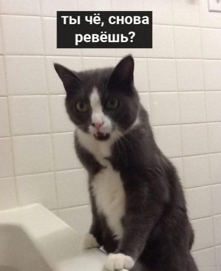 ты чё снова ревёшь