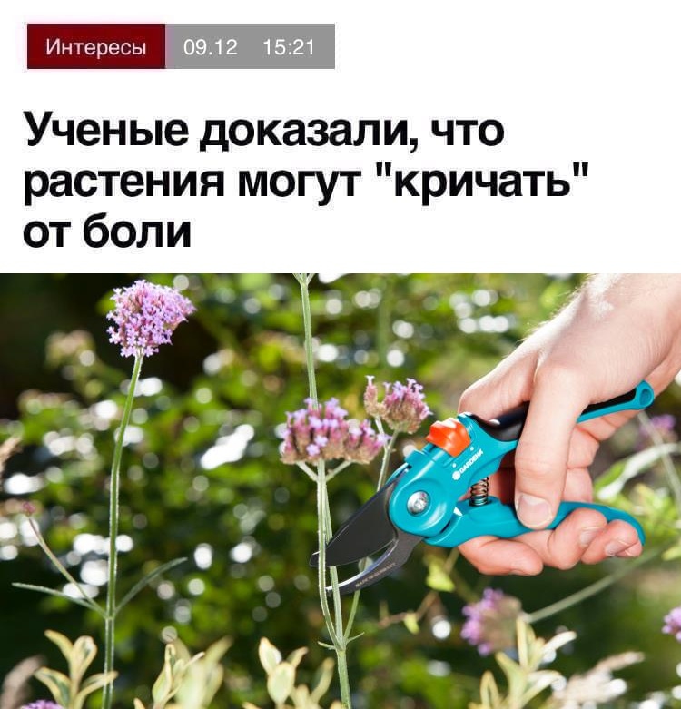 Интересы 9942 1821 Ученые доказали что растения могут кричать от боли