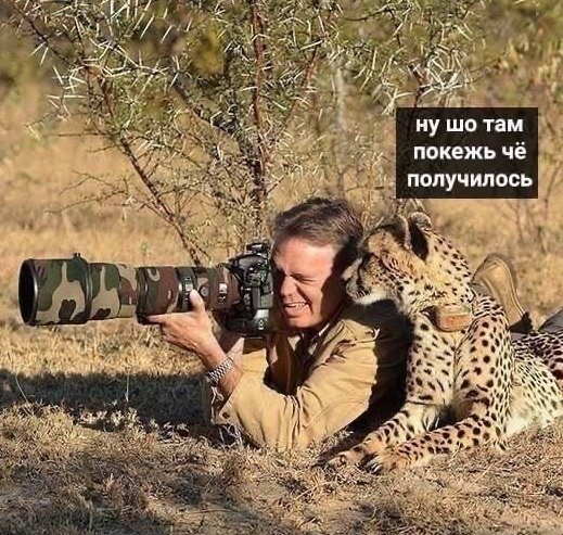 х ну шо там покежь чё ПОЛУЧИППВЬ