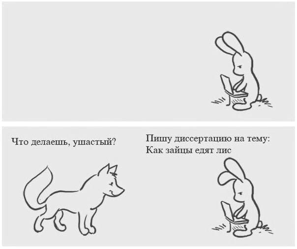 Что делаеш ушастый Пишу диссертацию на тему