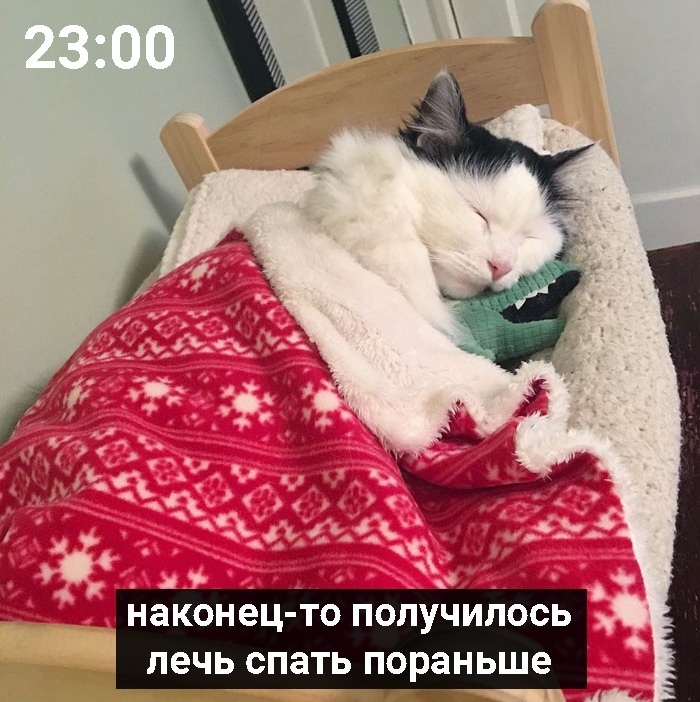 наконец то ПОЛУЧИЛОСЬ лечь спать пораньше