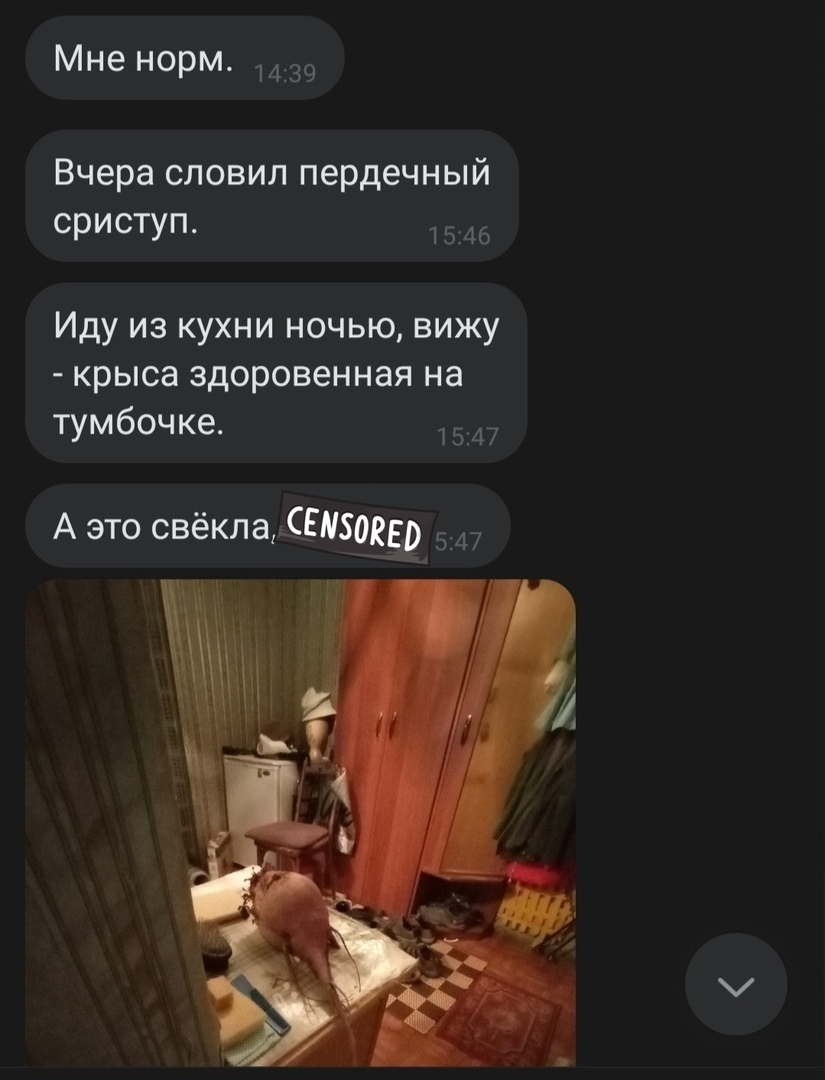 Мне норм Вчера словил пердечный сриступ Иду из кухни ночью вижу крыса здоровенная на тумбочке А это свёкла 5035 5