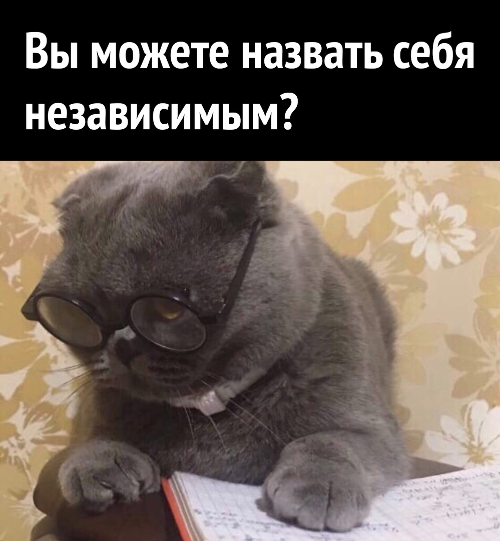 Вы можете назвать себя независимым