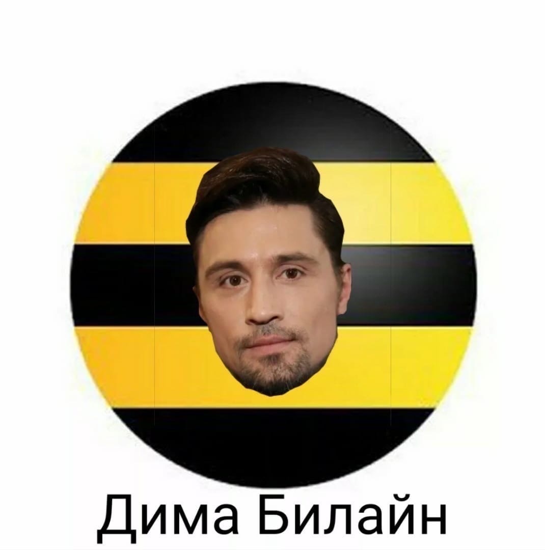Дима Билайн