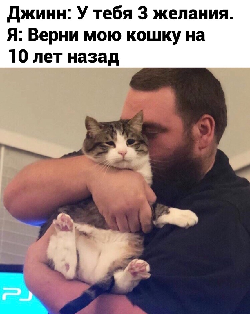 джинн У тебя 3 желания Я Верни мою кошку на 10 лет назад