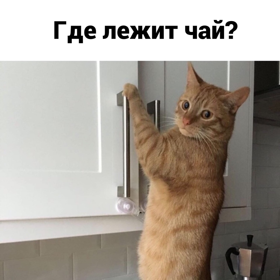 Где лежит чай
