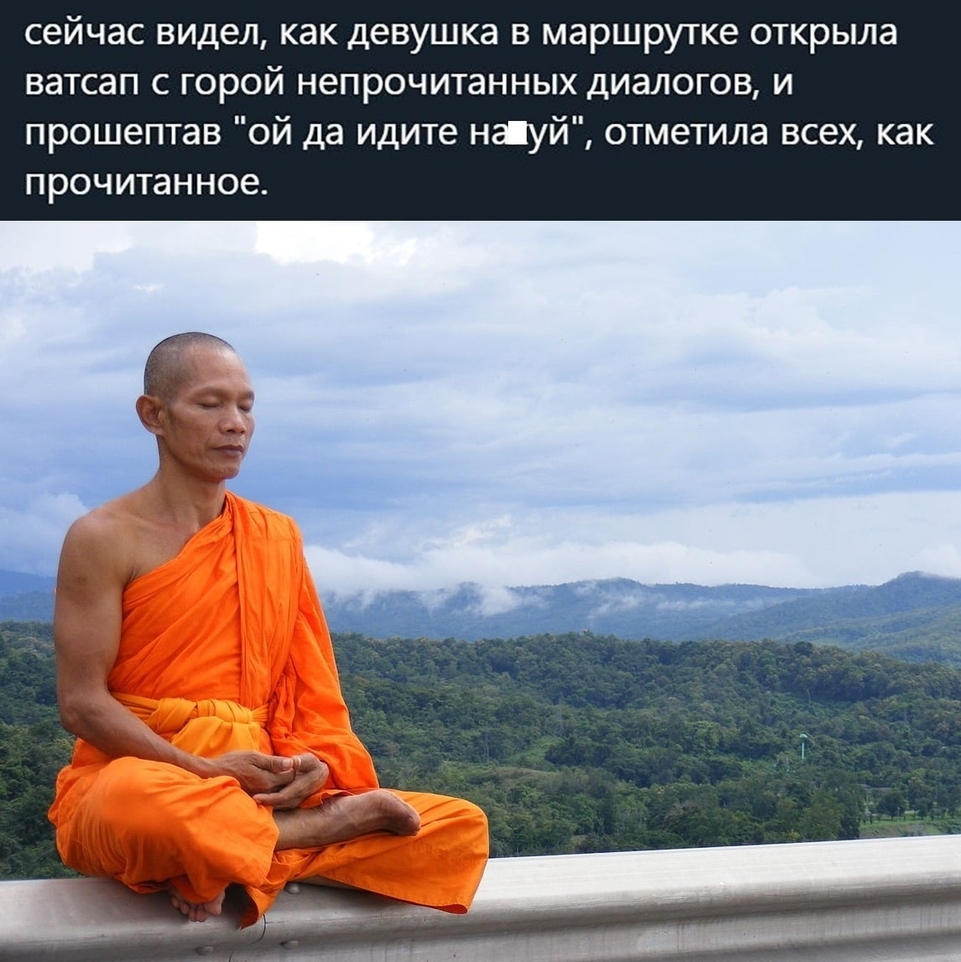 сейчас видел как девушка в маршрутке открыла ватсап с горой непрочитанных диалогов и прошептав ой да идите ншуй отметила всех как прочитанное