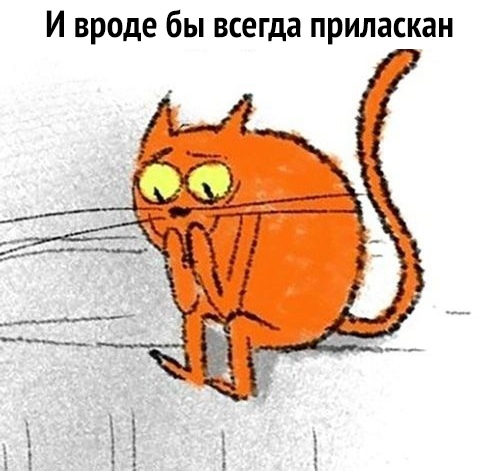 И вроде бы всегда приласкан