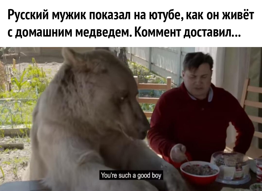 Русский мужик показал на ютубе как он живёт с домашним медведем Коммент доставил Уоиге эысп а 9006 Ьоу