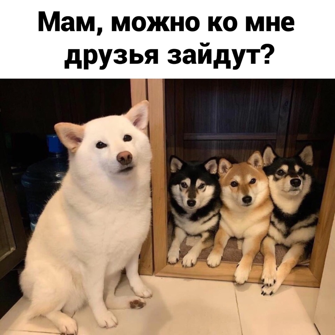 Мам можно ко мне друзья зайдут