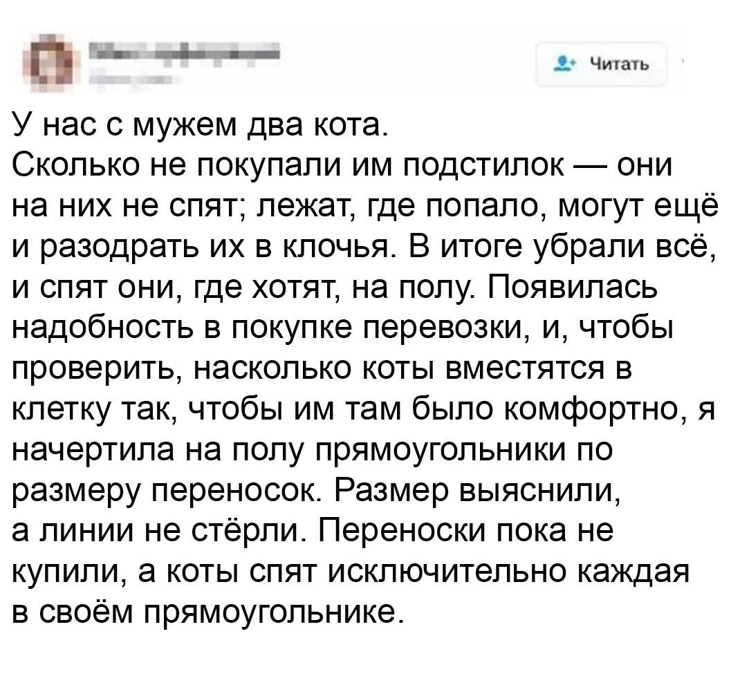 _ __ п 2 Читать У нас с мужем два кота Сколько не покупали им подстилок они на них не спят лежат где попало могут ещё и разодрать их в клочья В итоге убрали всё и спят они где хотят на полу Появилась надобность в покупке перевозки и чтобы проверить насколько коты вместятся в клетку так чтобы им там было комфортно я начертила на полу прямоугольники по размеру переносок Размер выяснили а линии не ст