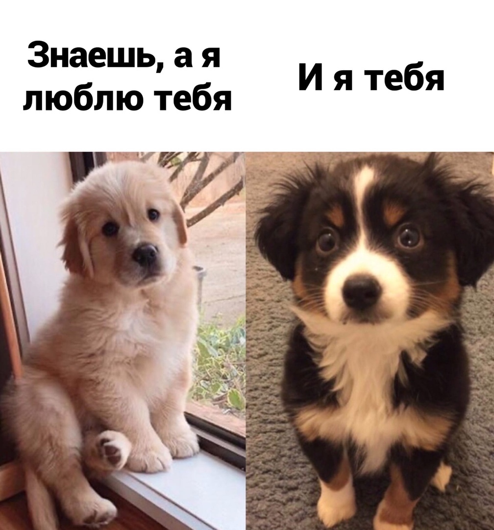 Знаешь а я люблю тебя И я тебя