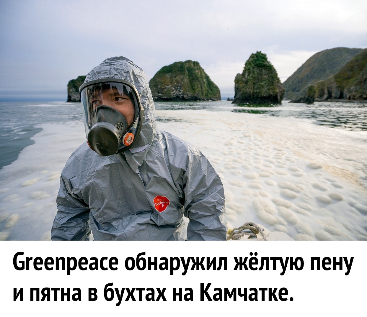 ий Бгеепреасе обнаружил жёлтую пену и пятна в бухтах на Камчатке