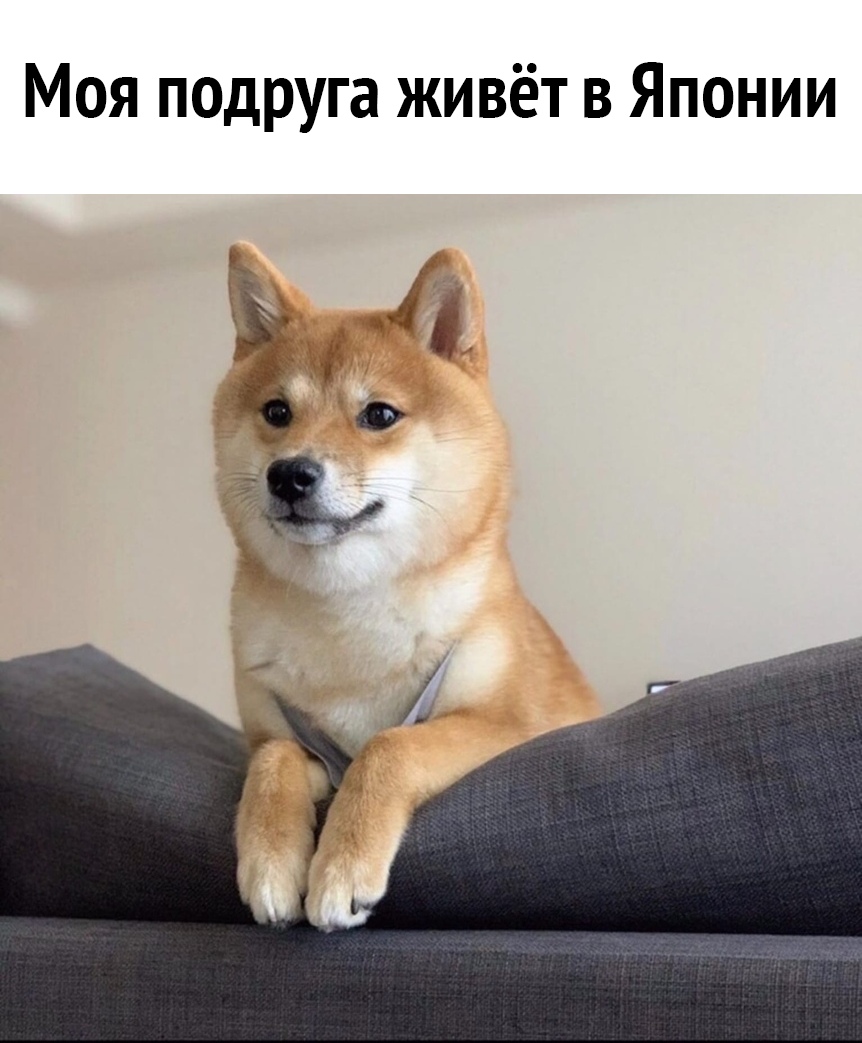 Моя подруга живёт в Японии А