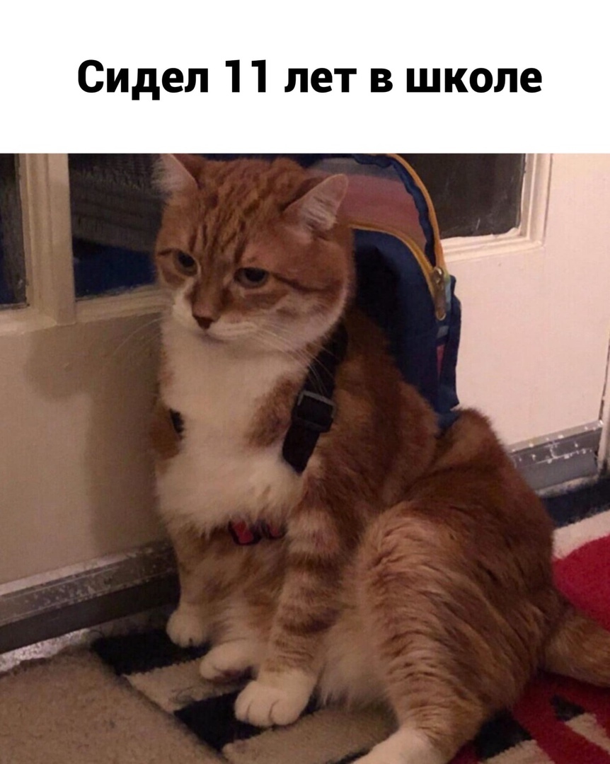 Сидел 11 лет в школе