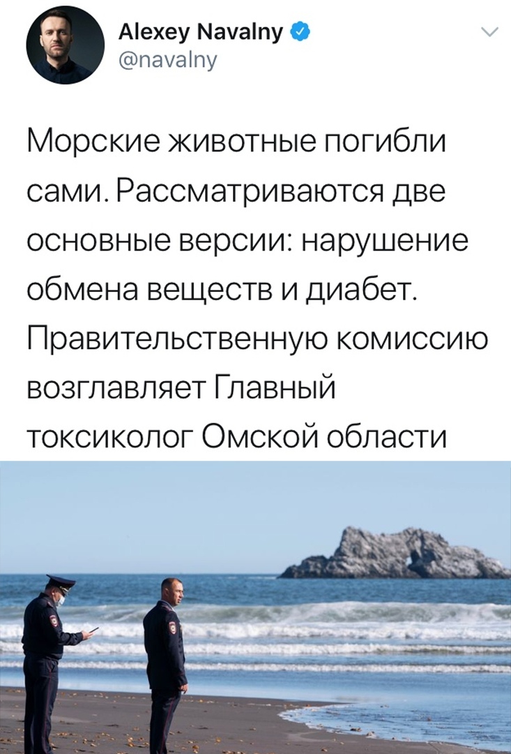 Аехеу Мауаіпу Ф пауаіпу Морские животные погибли сами Рассматриваются две основные версии нарушение обмена веществ и диабет Правительственную комиссию возглавляет Главный токсиколог Омской области