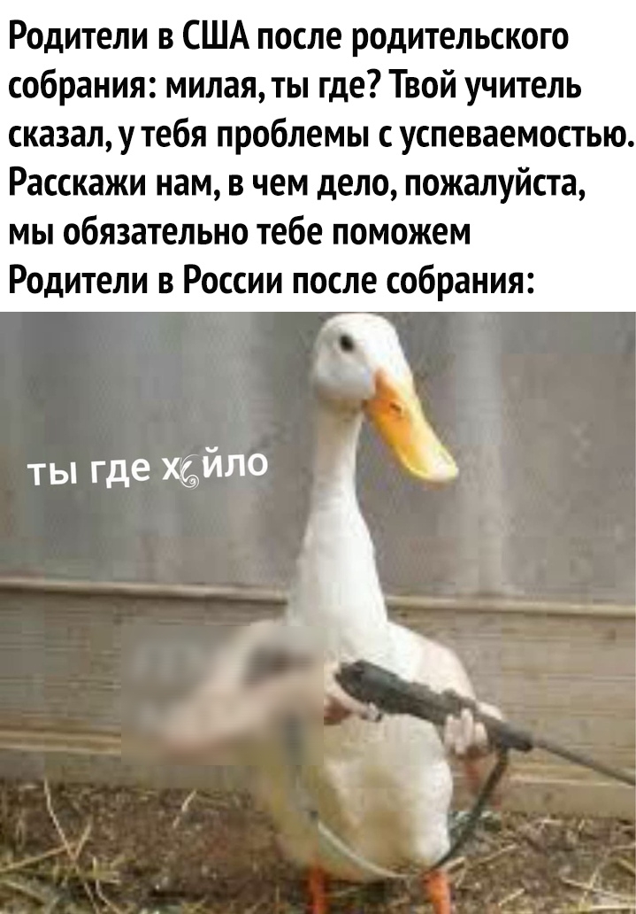 Родители в США после родительского собрания милая ты где Твой учитель сказал у тебя проблемы с успеваемостью Расскажи нам в чем дело пожалуйста мы обязательно тебе поможем Родители в России после собрания ты где ХЁЙЛО