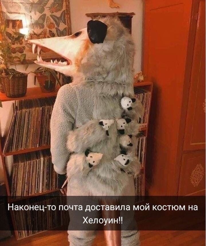 Наконец то поЁПа доставила мой костюм на Хелоуинп Е