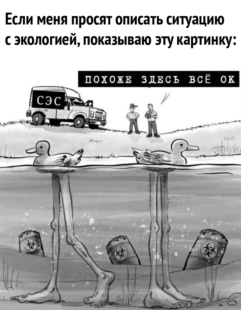 Если меня просят описать ситуацию с экологией показываю эту картинку похожв ЗДЕСЬ ВСЁ ок