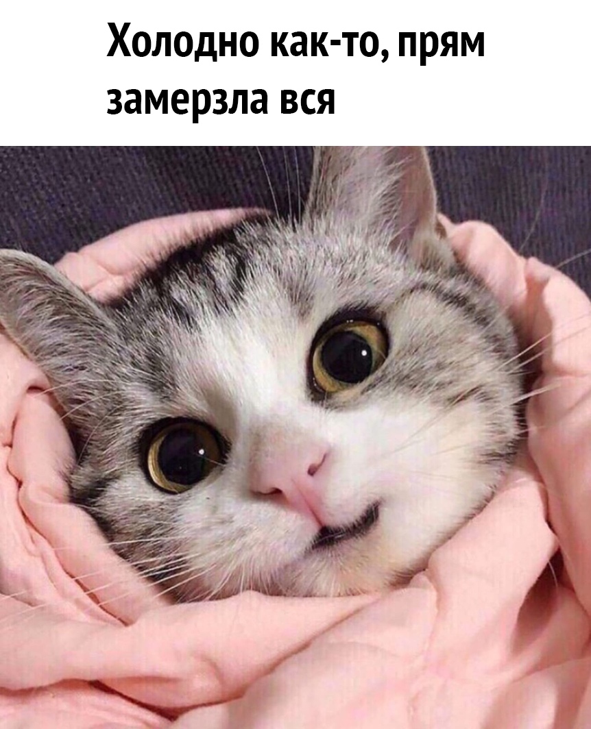 Холодно как то прям замерзла вся