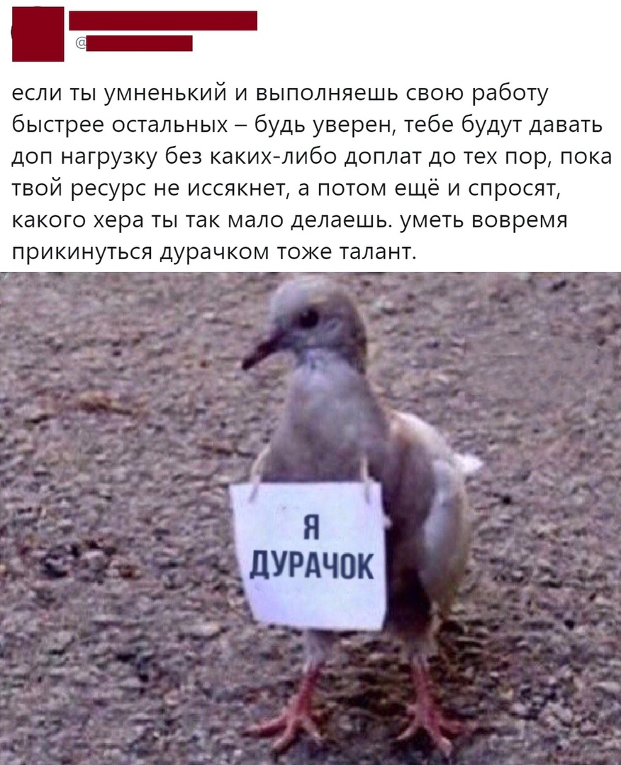 если ТЫ УМНЁНЬКИЙ И ВЫПОЛНЯЭШЬ СВОЮ работу быстрее остальных будь уверен тебе будут давать доп нагрузку без какихлибо доплат до тех пор пока твой ресурс не иссякнет а потом ещё и спросят какого хера ты так мало делаешь уметь вовремя прикинуться дурачком токе талант ім