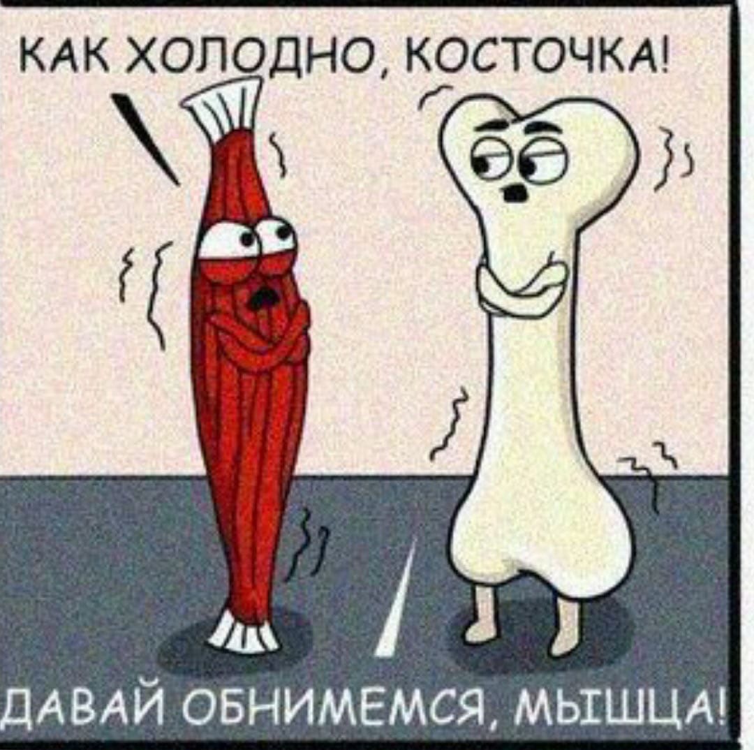 КАК ХОЛОДНО КОСТОЧКА АВАЙ овнимвмся МЬШШЦА