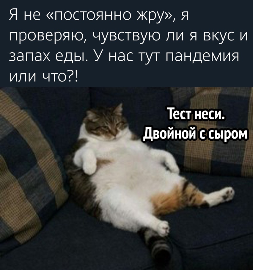 Я не постоянно жру я проверяю чувствую ли я вкус и запах еды У нас тут пандемия или что Тест _неси Двойной с _сыром