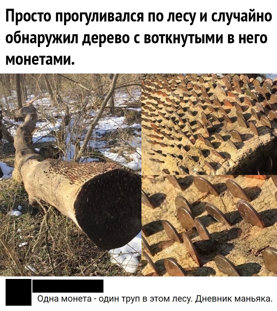 Просто прогуливался по лесу и случайно обнаружил дерево с воткнутыми в него монетами ОДНЭ монета ОДИН ТРУП В ЭТОМ лесу ДНЕВНИК МЭНЬЯКЗ