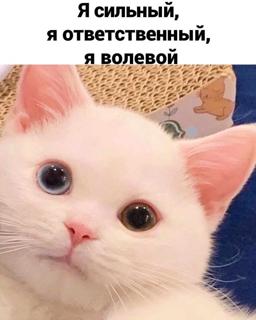 Я сильный я ответственным