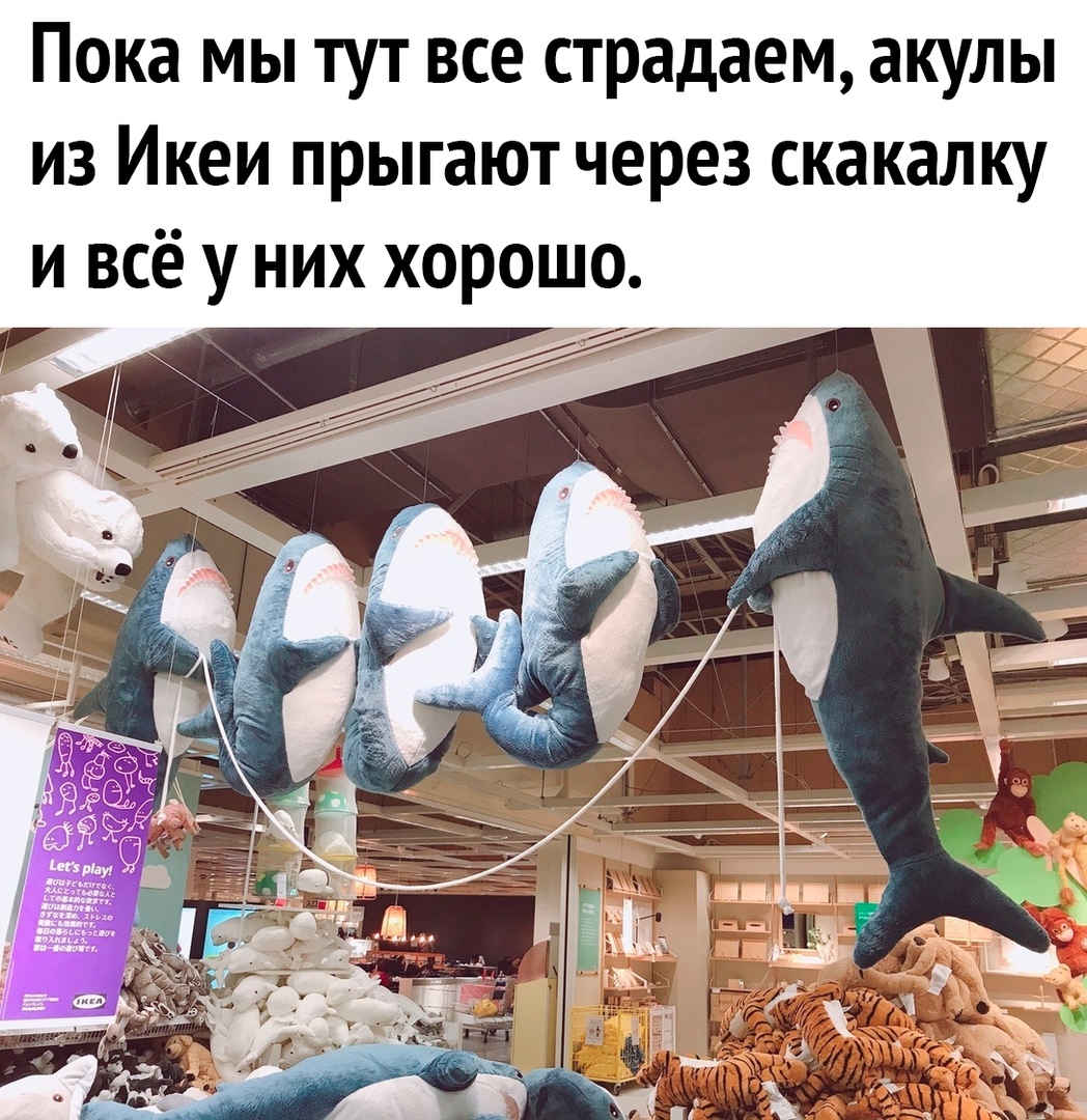 Пока мы тут все страдаем акулы из Икеи прыгают через скакалку и всё у них хорошо