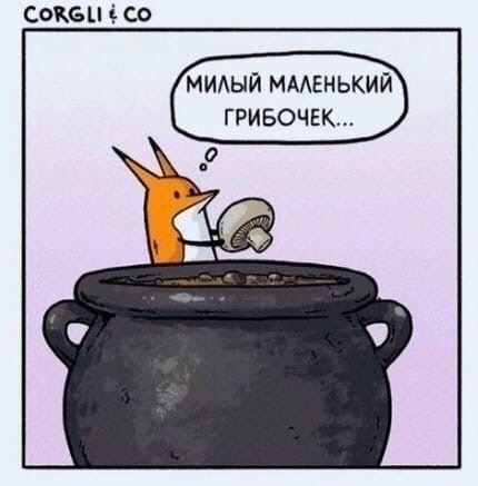 СОКЪЦ 1 С мидый мменький гривочвк
