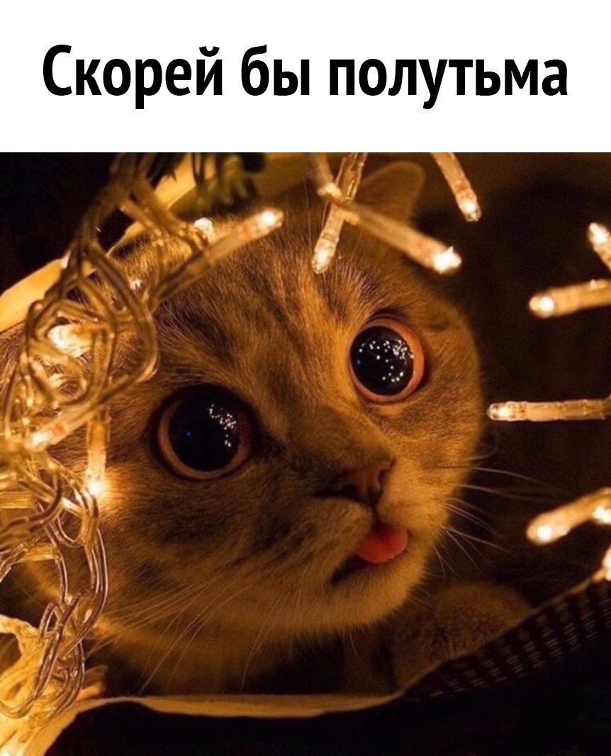 Скорей бы полутьма