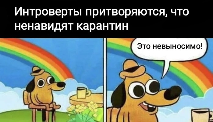 Интроверты притворяются что ненавидят карантин Это невыносимо