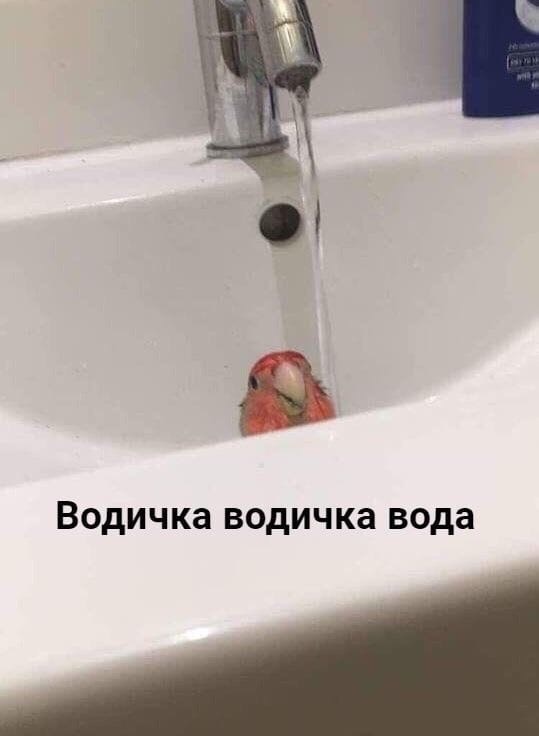 Водичка водичка вода