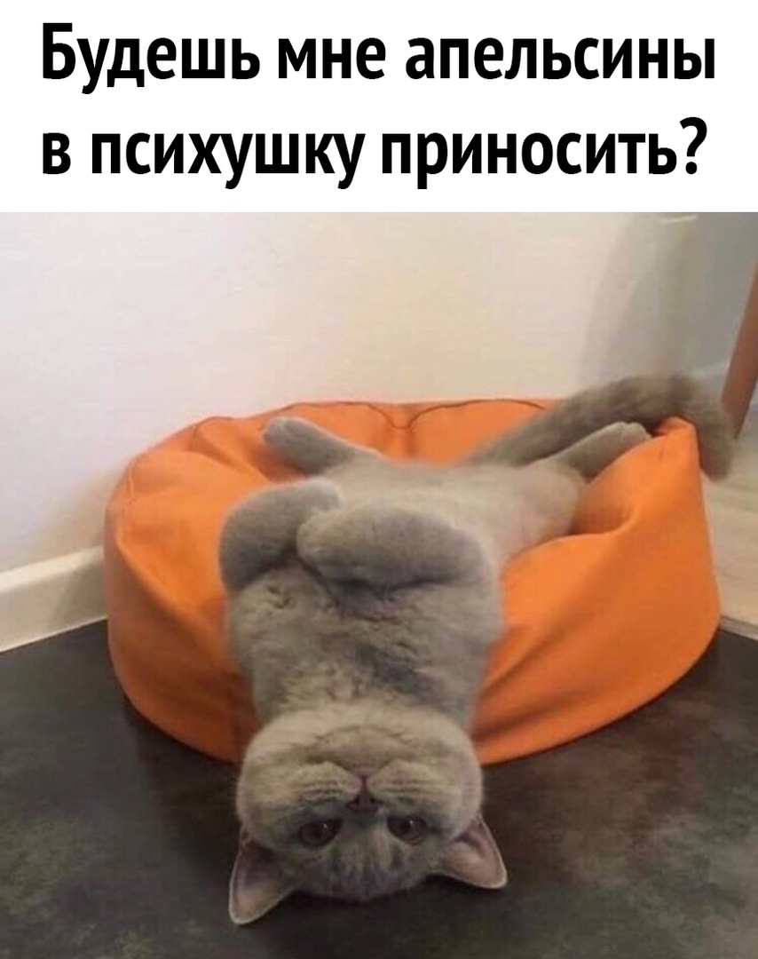Будешь мне апельсины в психушку приносить