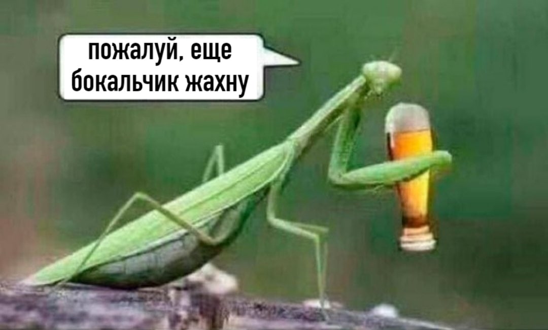 пожалуй еще бокальчик жахну