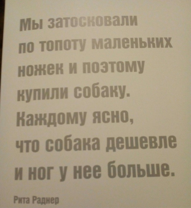 Мы загг залп на танец ыеапеньиих ножен и ПОЭТОМУ нупили собаку Каждому ясно что собака дешевле и ног у нее больше
