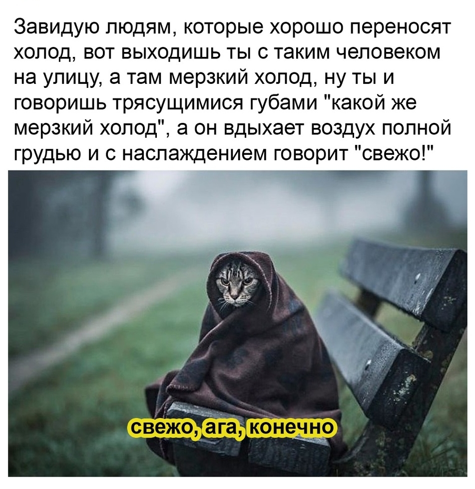 Завидую людям которые хорошо переносят холод вот выходишь ты с таким человеком на улицу а там мерзкий холод ну ты и говоришь трясущимися губами какой же мерзкий холод а он вдыхает воздух полной грудью и с наслаждением говорит свежо д свежо ага