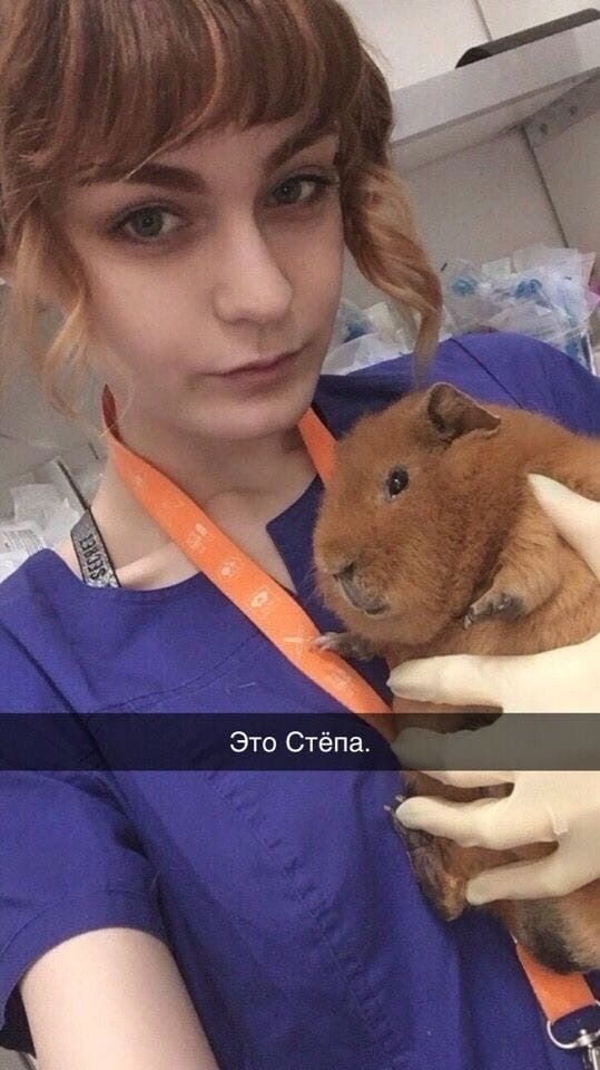 Это Стёпа