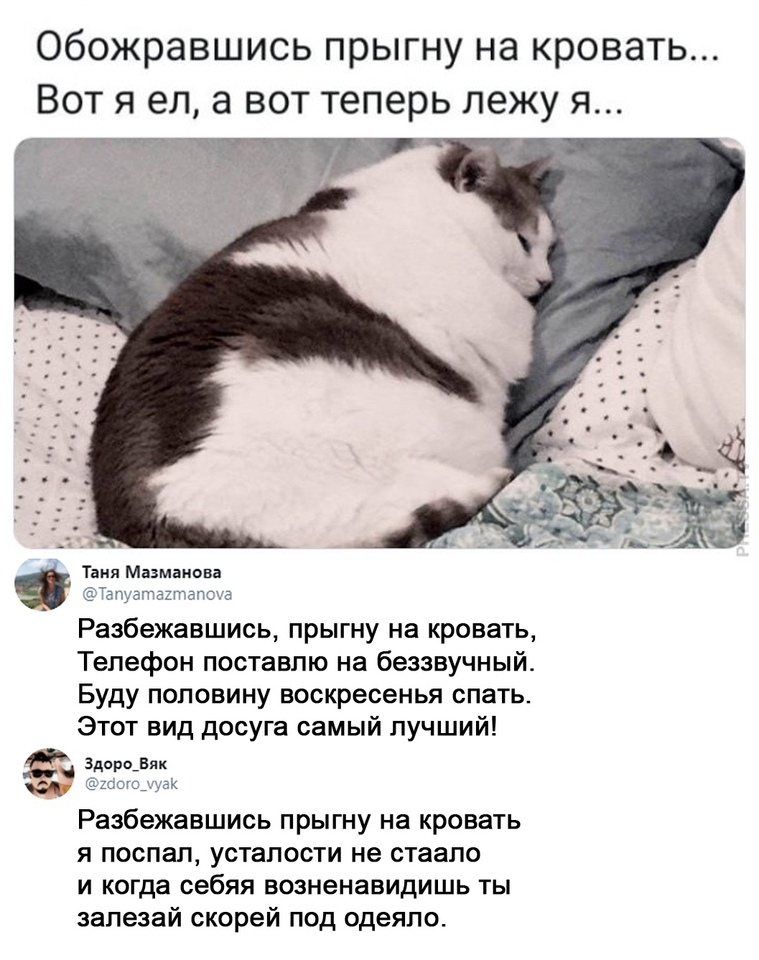 Обожравшись прыгну на кровать Вот я ел а вот теперь лежу я Таня Мазмаиона Тепуатахтапоуа Разбежавшись прыгну на кровать Телефон поставлю на беззвучный Буду половину воскресенья спать Этот вид досуга самый лучший Здорщвяк шошдлуак Разбежавшись прыгну на кровать я поспал усталости не стаапо и когда себяя возненавидишь ты залезай скорей под одеяло