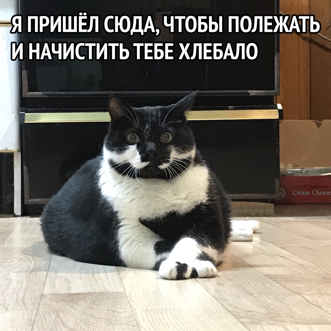 Я ПРИШЁЛ СЮДА ЧТОБЫ ПОЛЕЖАТЬ И НАЧИСТИТЬ ТЕБЕ ХЛЕБАЛО