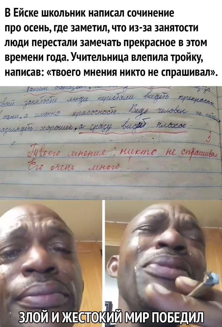 В Ейске школьник написал сочинение про осень где заметил ЧТО из за занятости ЛЮДИ перестали замечать прекрасное В ЭТОМ времени года Учительница влепила тройку написав Твоего мнения НИКТО не спрашивал