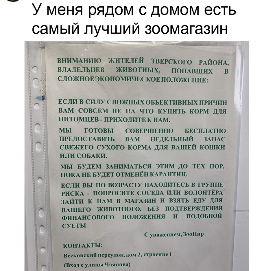 У меня рядом с домом есть самый лучший зоомагазин