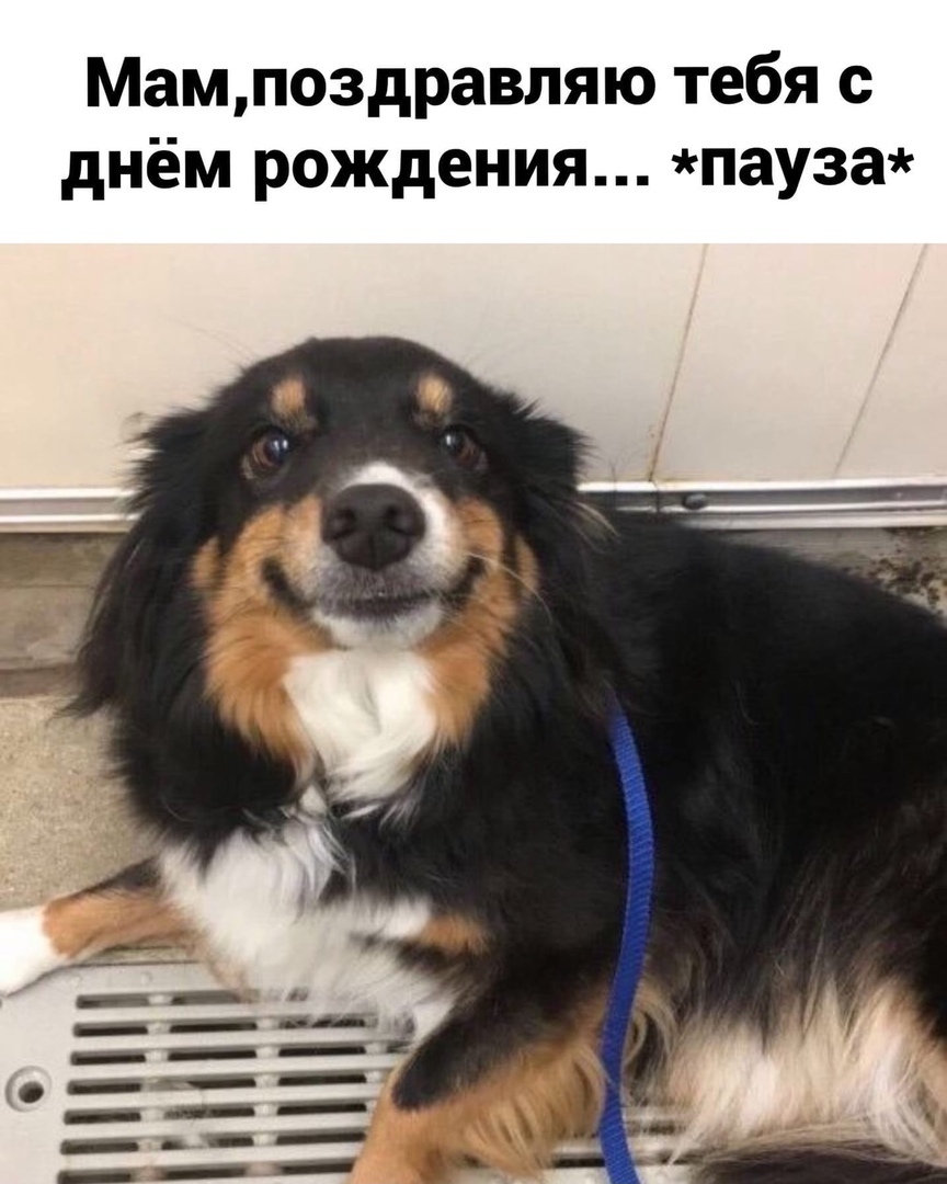 Мампоздравляю тебя с днём рождения пауза